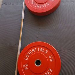 Weights Bumper 2.55 Lb