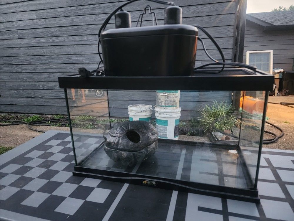 Reptile/arachnid vivarium setup 20 x 10 x 12