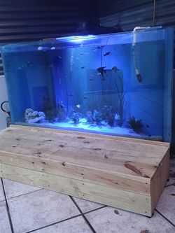 Fishtank 180galons with everything in the pictures,,$450
