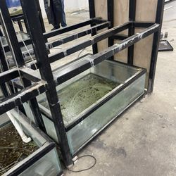 Fish Tanks 
