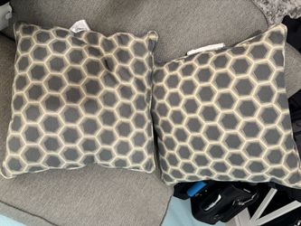 Two Decorative Couch Pillows