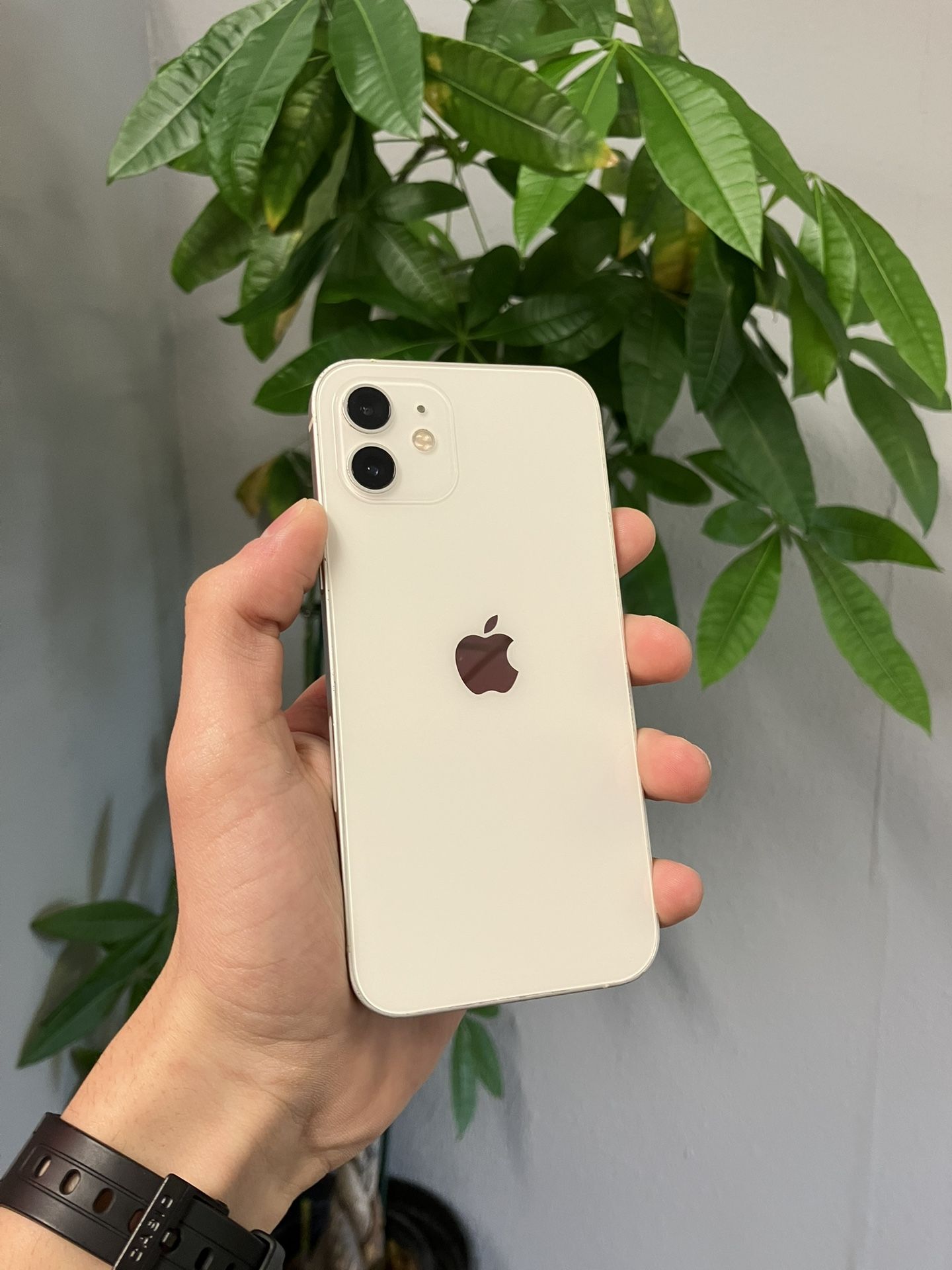 iPhone 12 - Unlocked - 64GB