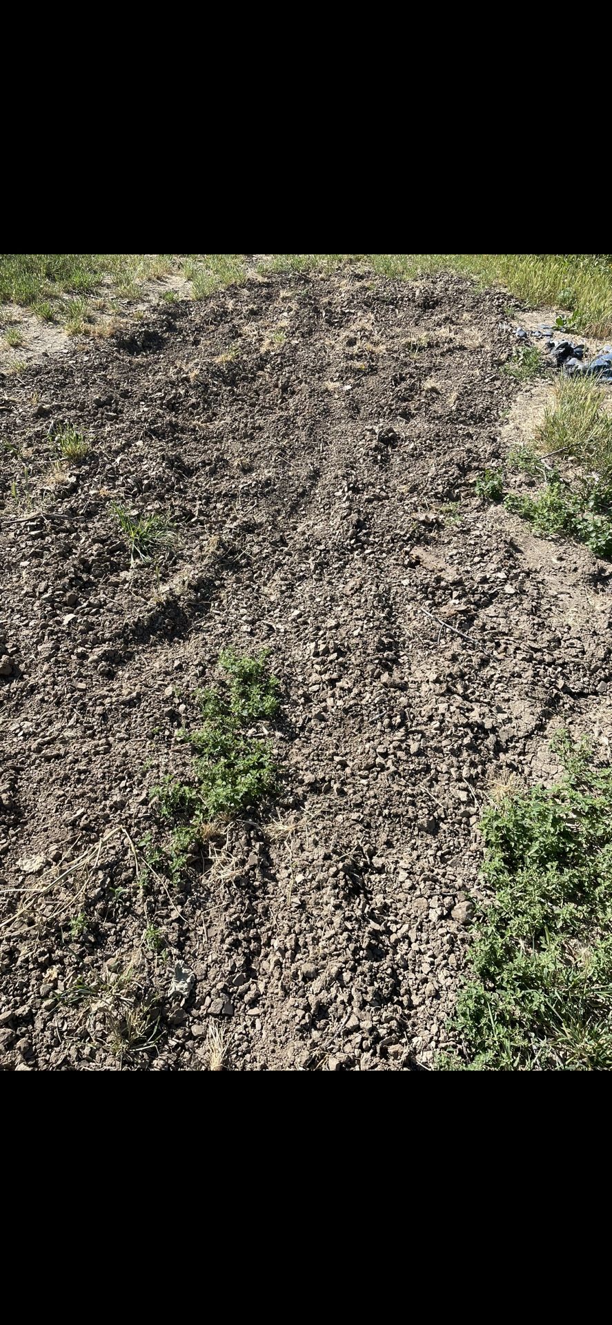 Want Clean Fill Dirt