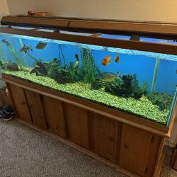 125 Gallon Fish Tank with cabinet