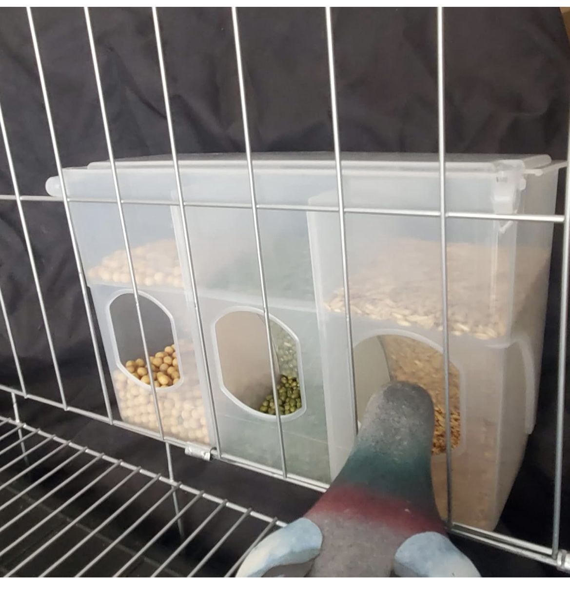 Pigeon Bird Feeder, No Mess Hanging Parrot Feeder, Cage Accessories for Parakeet Quail Bird Chicken