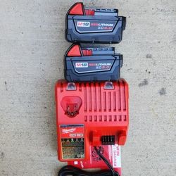 Milwaukee 18v Batteries 5.0 Ah And Charger Brand New 