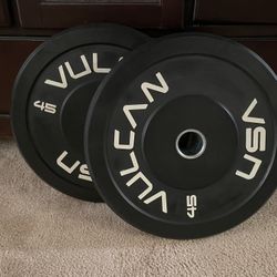 45 lbs Vulcan Bumper Plates (pair)