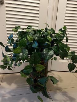 Like new Artificial plants