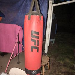 UFC Punching Bag