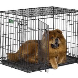 Brand New Folding Dog Crate  Size: 36"L x 23"W x 25"H for dogs 41 - 70lbs.