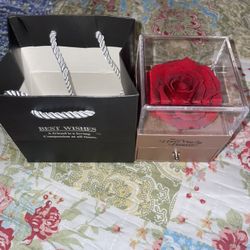 Preserved Red Rose With A “I Love You” In 100 Languages Heart-Shaped Necklace 