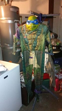 Ninja Turtles costume large
