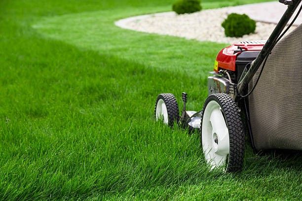 Lawn Services