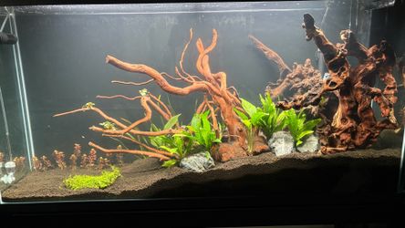 55 gallon aquarium fish tank package