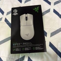 Computer Mouse 