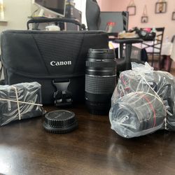 Canon Camera T7 