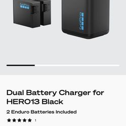 gopro 13 battery and charger new