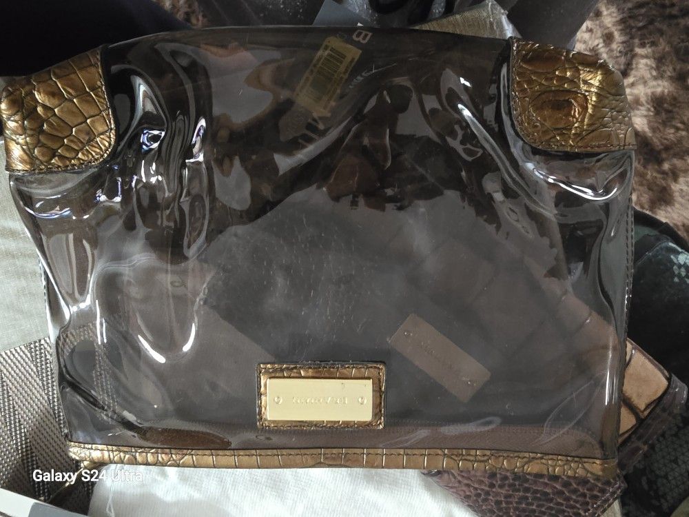 Clear Alligator Purse