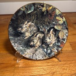 The Bradford Exchange, Curl Brender’s Collectors Plate, “Shy Explorers”