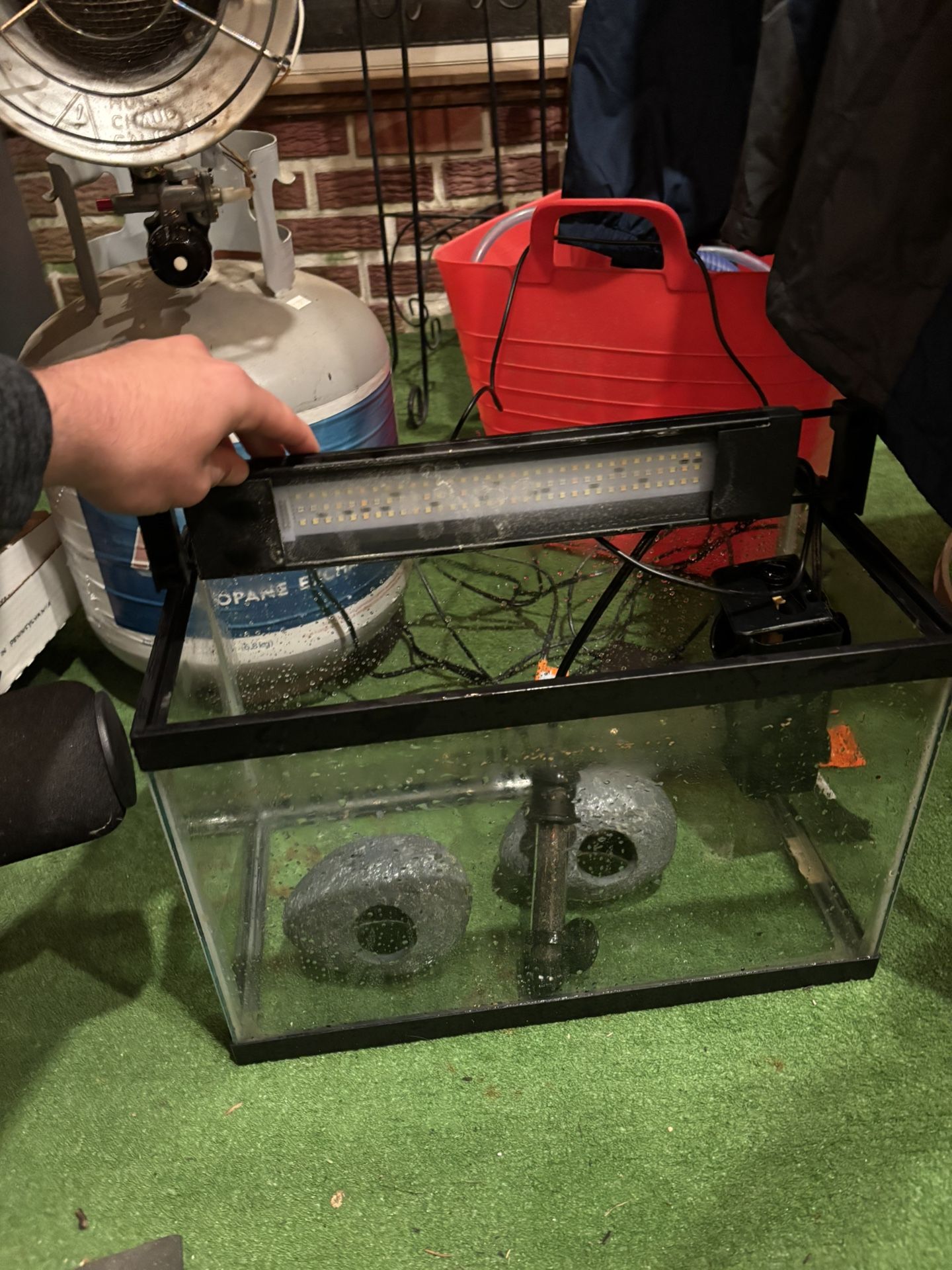 5 Gallon fish Tank With A Fluval light/ filter/Heater/Rocks