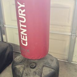 Century Punching Bag 