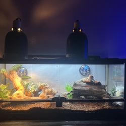 30 Gallon Tank 