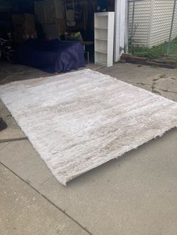 Shag area carpet