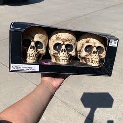 Skulls Pathway