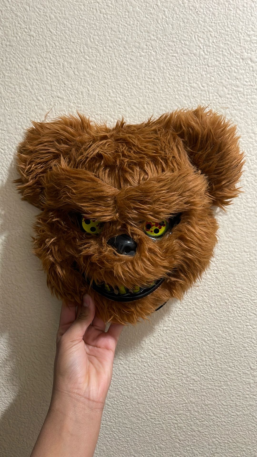 Bear