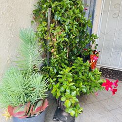 I’m Moving Today!!! First Come First Serve