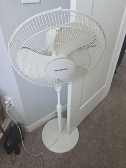 Fan