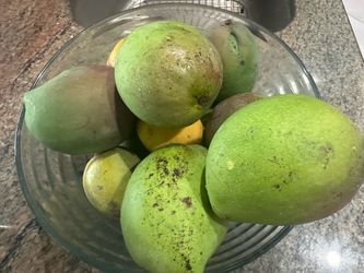 Big and small tasty organic mangoes 15for 20$