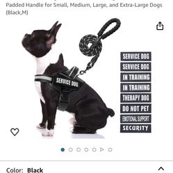 Vest Harness And Leash 