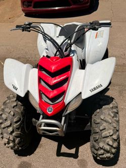 Raptor 50cc