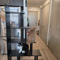 Free Bookshelf!