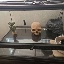 Exo Terra 24" x 18" x 12" Glass Terrarium