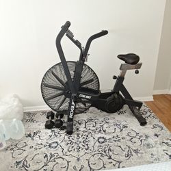 Rogue Echo Bike 2.0 + Set Of 20lb Dumbbells