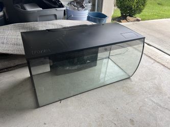 Bowfront Fish Tank