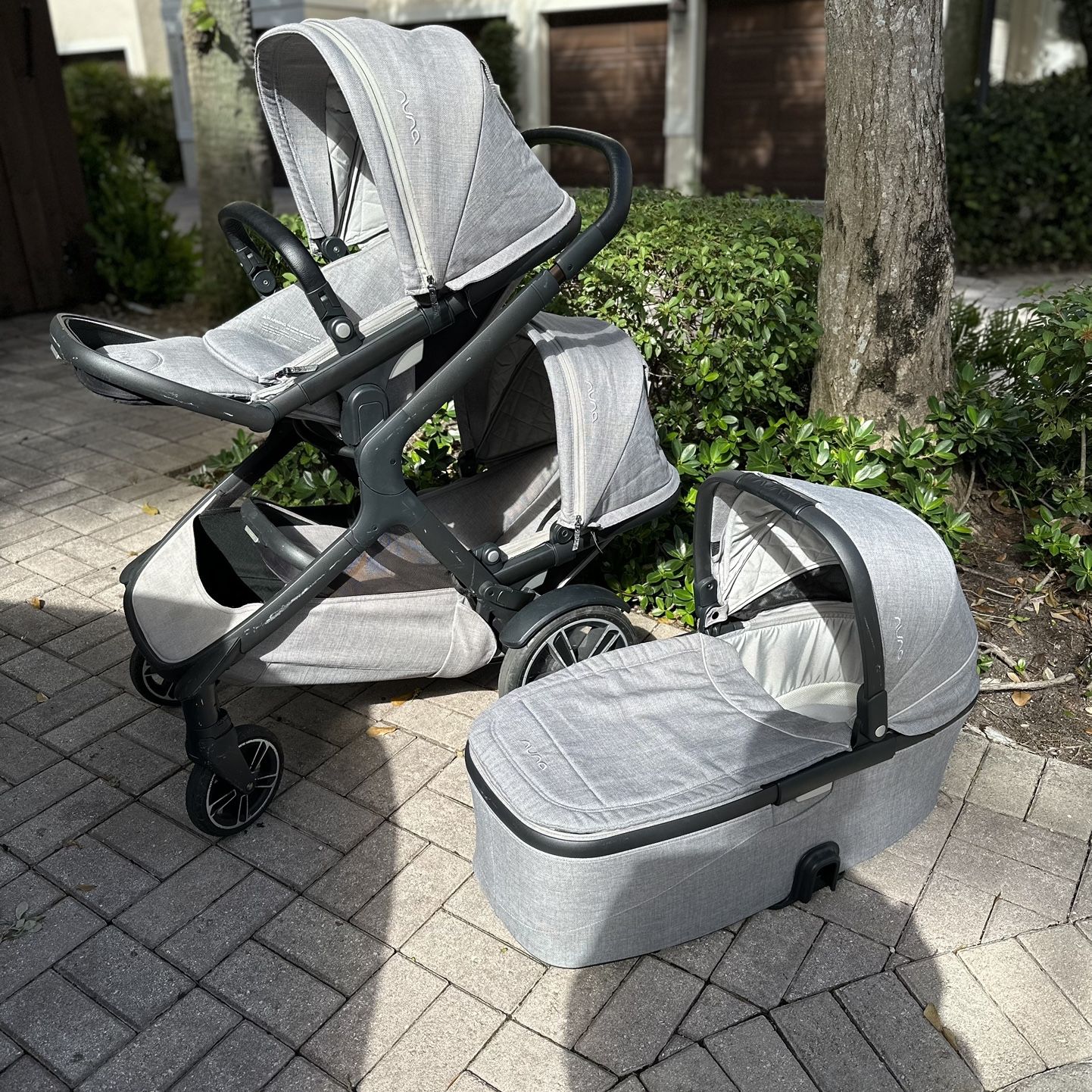 graco stroller base Modes Nest Travel System Marchi. Marchi: Tumi Color:Ultra Orange Deep-sea fish - Wikipedia Infant Pramette