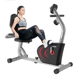Recumbent Exercise Bike