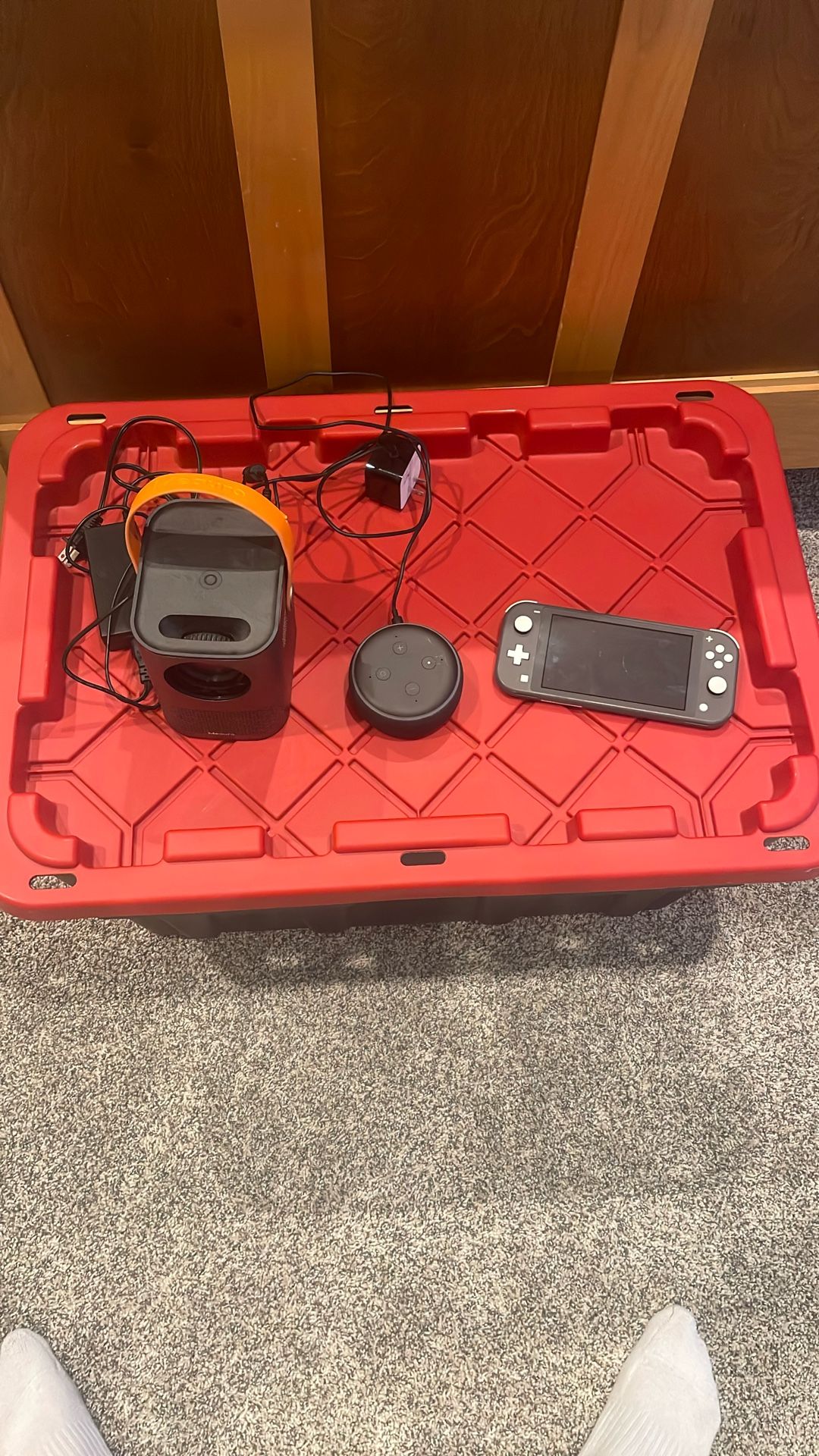 Project, Alexa, Switch Light