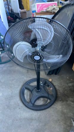 Big fan