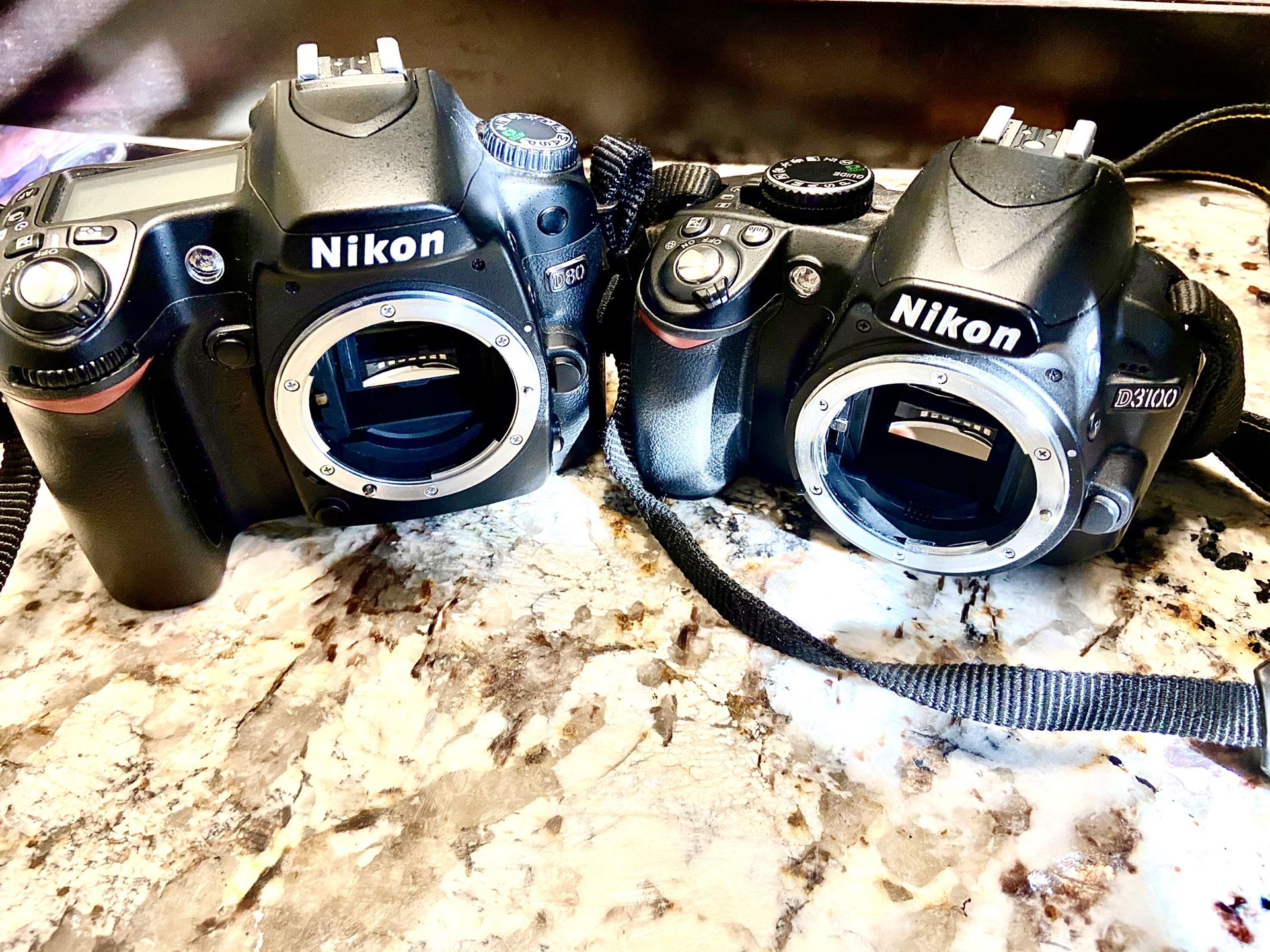 Nikon D80 & Nikon D3100