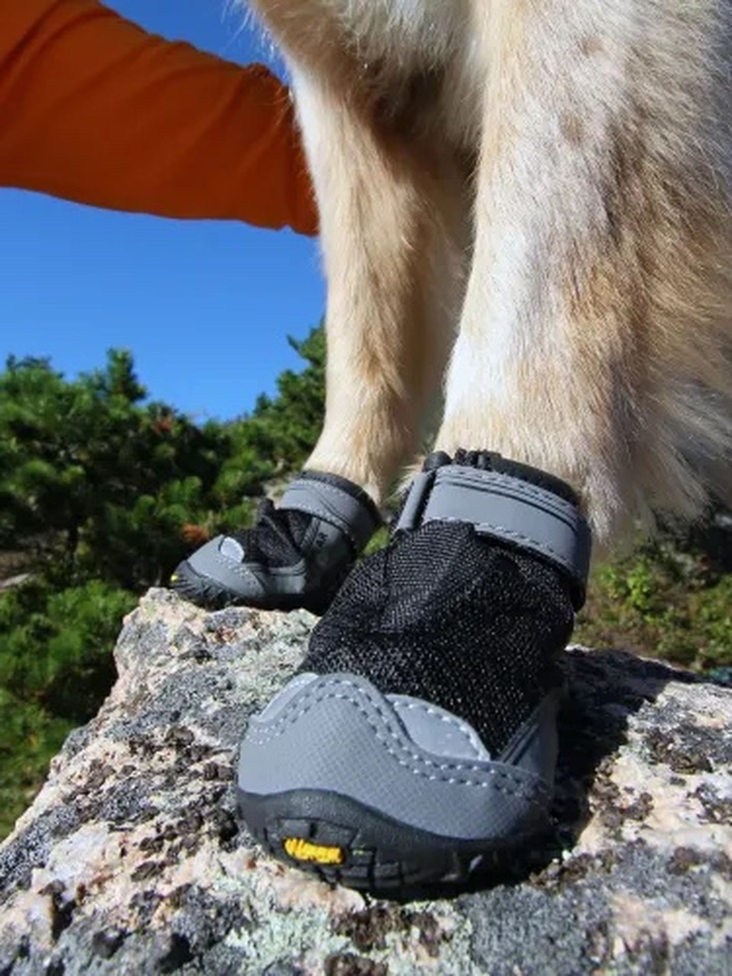 Ruffwear Boots (small)