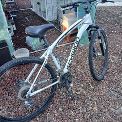 Schwinn 