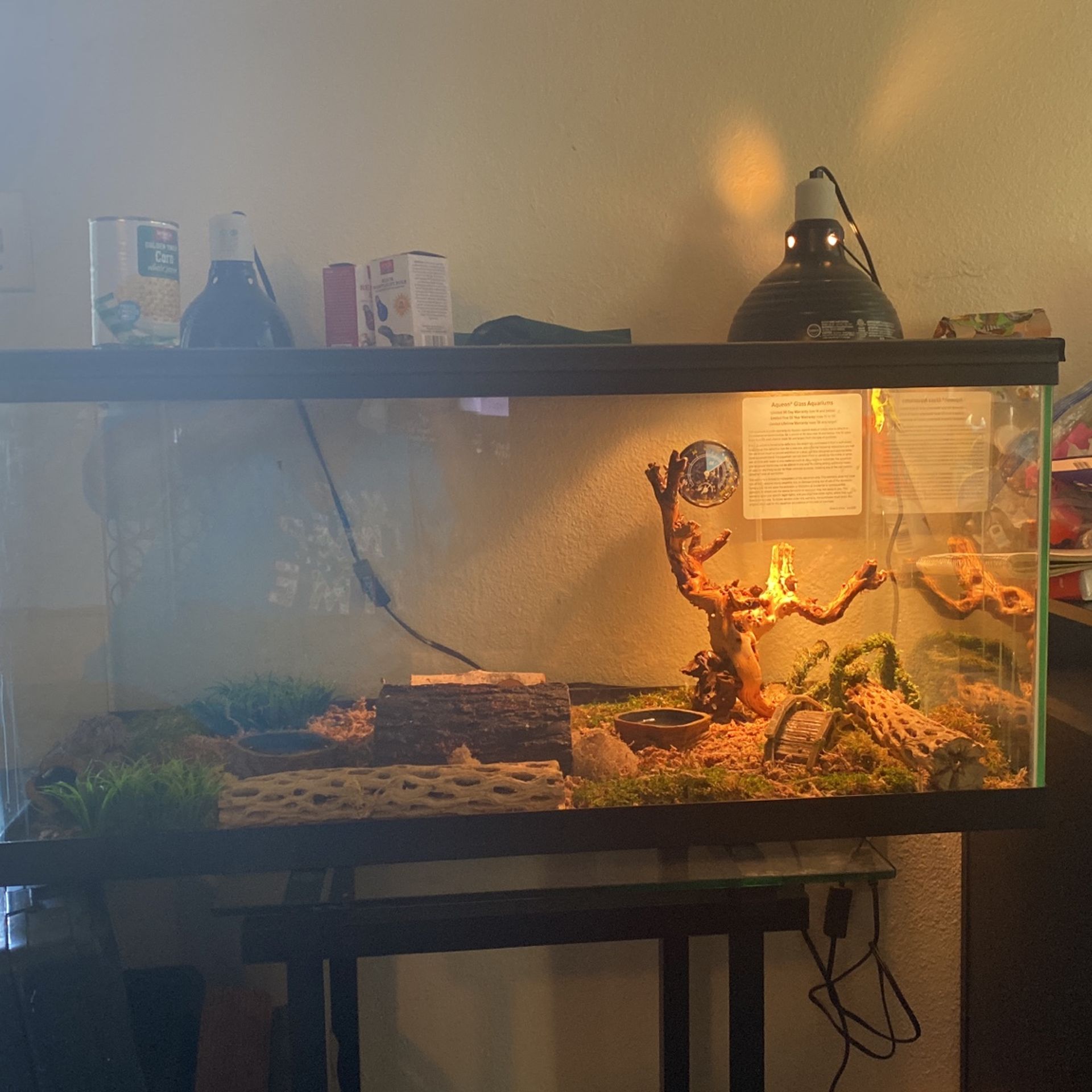 Two Nole Lizards And Tank With Equipment