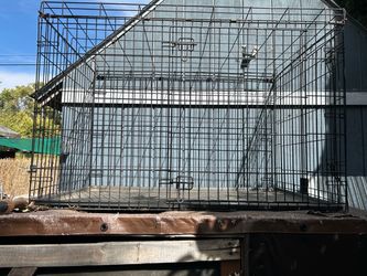 Kennels