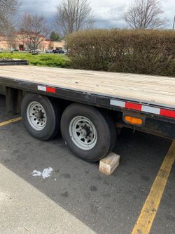 Goose  Next  Trailer 