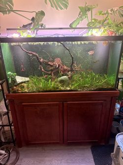 120 gallon fish tank (pickup only)