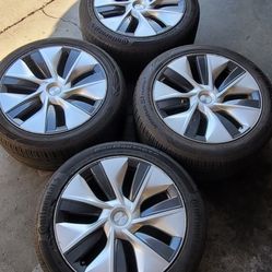 19 Tesla Y Wheels And Tires